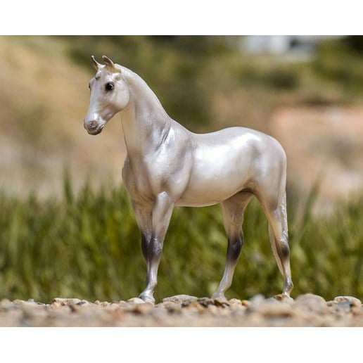 Pearly Grey Trakehner Horse