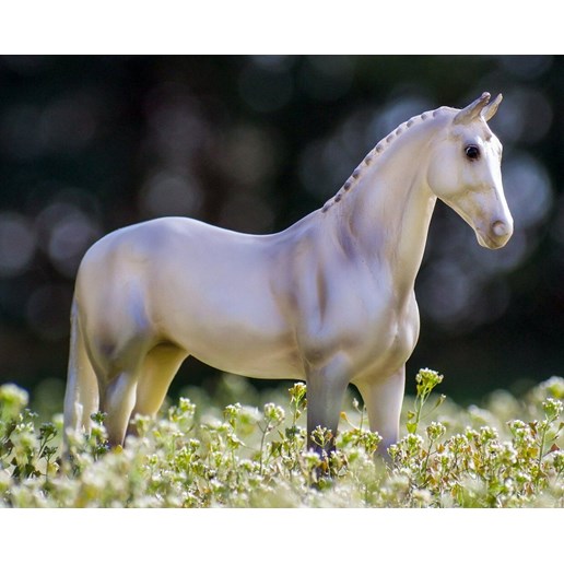Pearly Grey Trakehner Horse