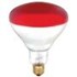 250 Watt Red Splatter Resistant Heat Bulb