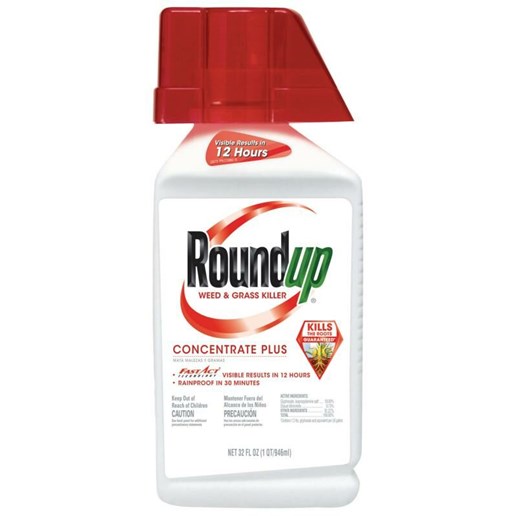Roundup Weed and Grass Killer Concentrate Plus, 1/2 Gal Jug