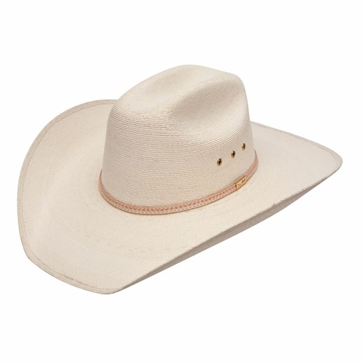 Resistol George Strait Palm Straw Cowboy Hat in Natural