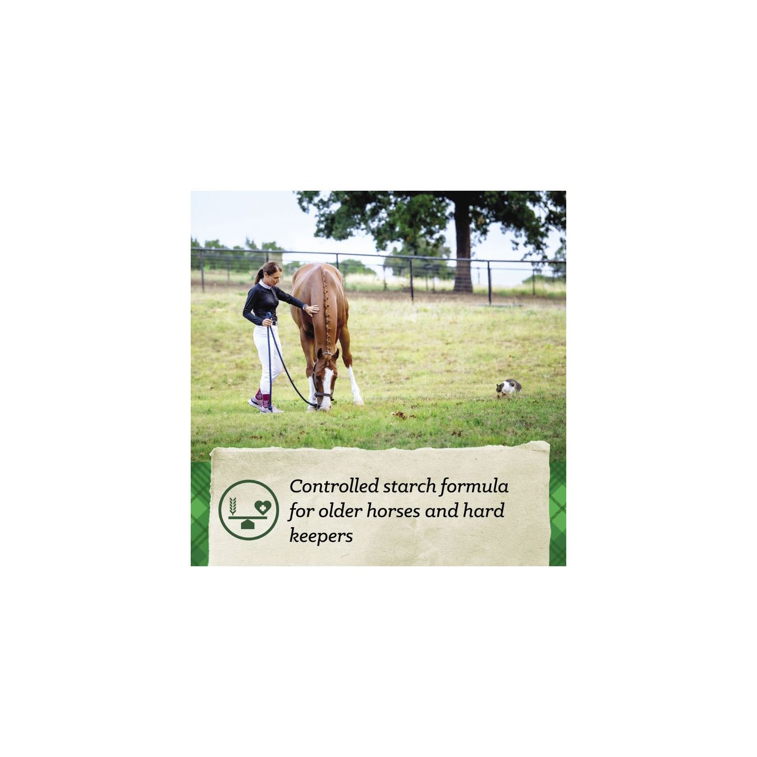 SafeChoice Senior, 50-Lb Feed Treats Nutrena Coastal Country