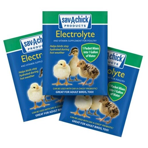 Sav-A-Chick Electrolyte & Vitamin Powder - 3 Pack