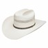 Stetson Grey Star 10x Straw Hat in Natural