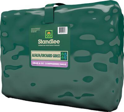Standlee Premium Alfalfa & Orchard Grab & Go Compressed Hay Bale