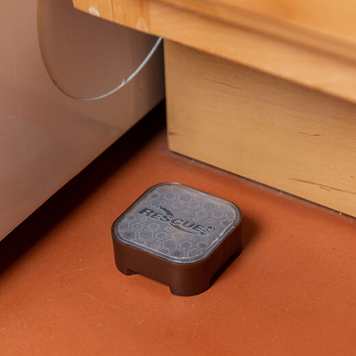 Ant Bait Stations, 6-Ct