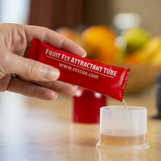Reusable Fruit Fly Trap, 2-Ct