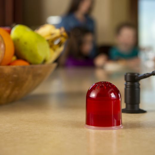 Reusable Fruit Fly Trap, 2-Ct