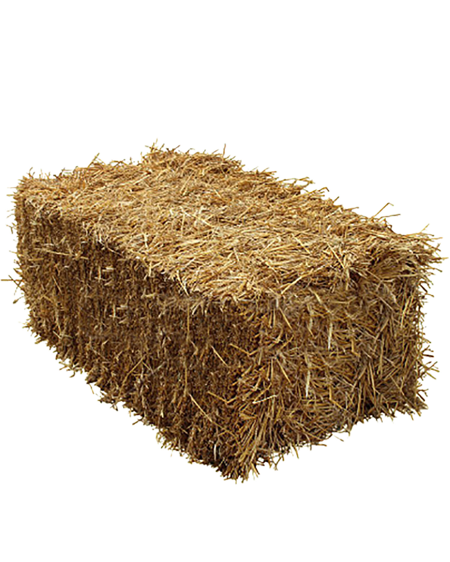 Straw-Hay-Bale.jpg