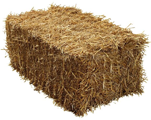 Straw Hay Bale.png