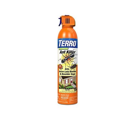 Terro Outdoor Ant Killer Spray, 19-oz Can