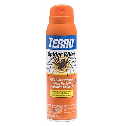 Terro_spider.jpg