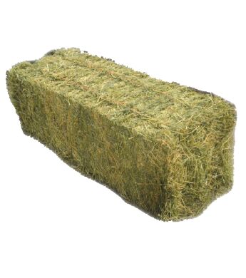 Timothy Orchard Grass Hay Bale.png