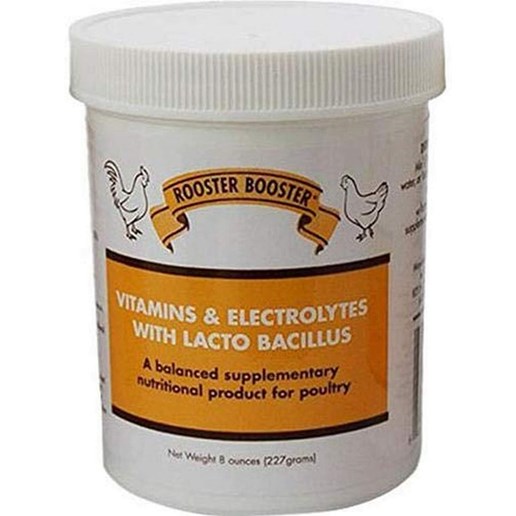 Vitamins & Electrolytes with Lacto Bacillus Supplement, 8-Oz