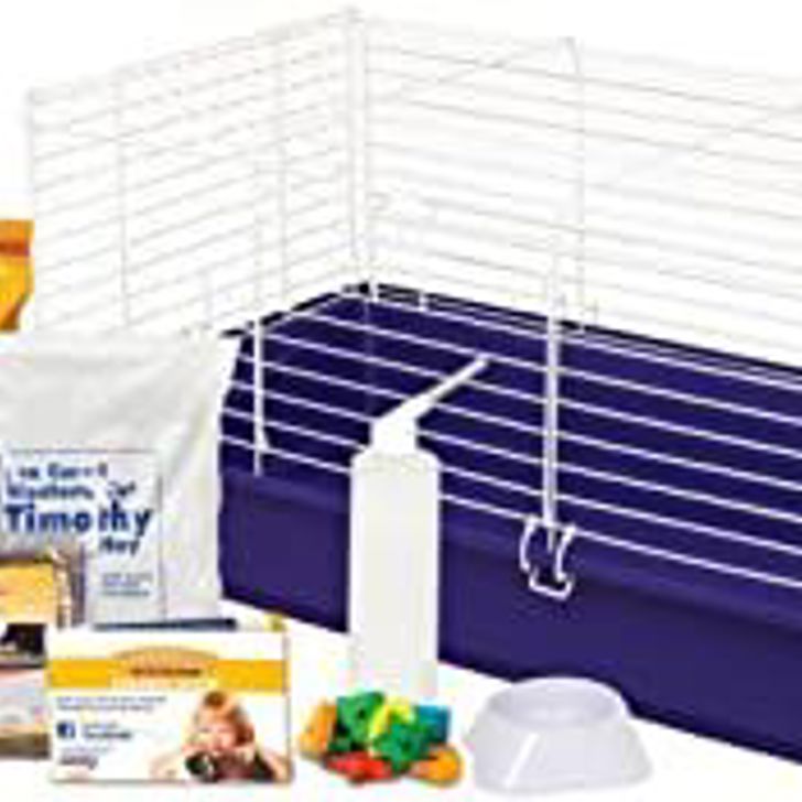 {{resource('Product.Label.Sku')}}: {{sku}}