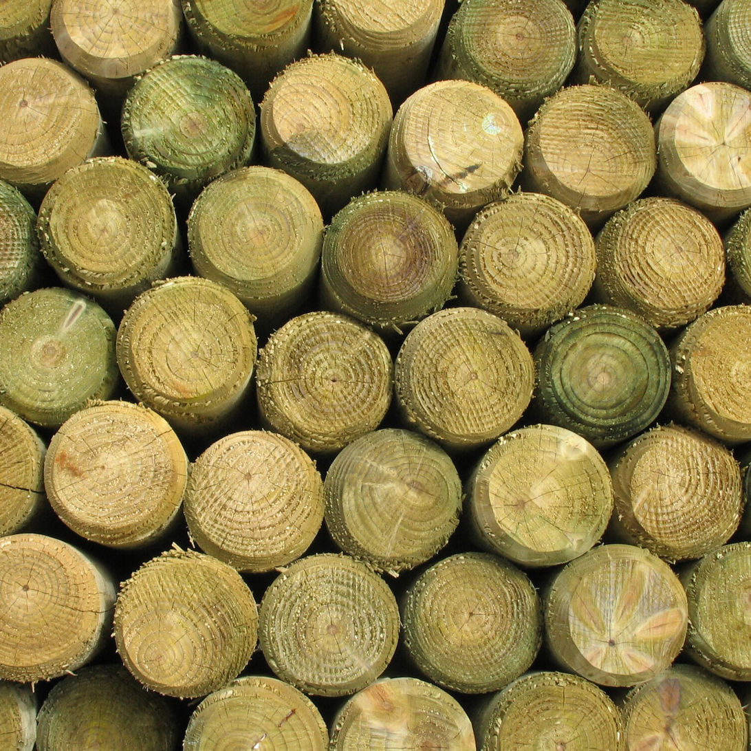 {{resource('Product.Label.Sku')}}: {{sku}}