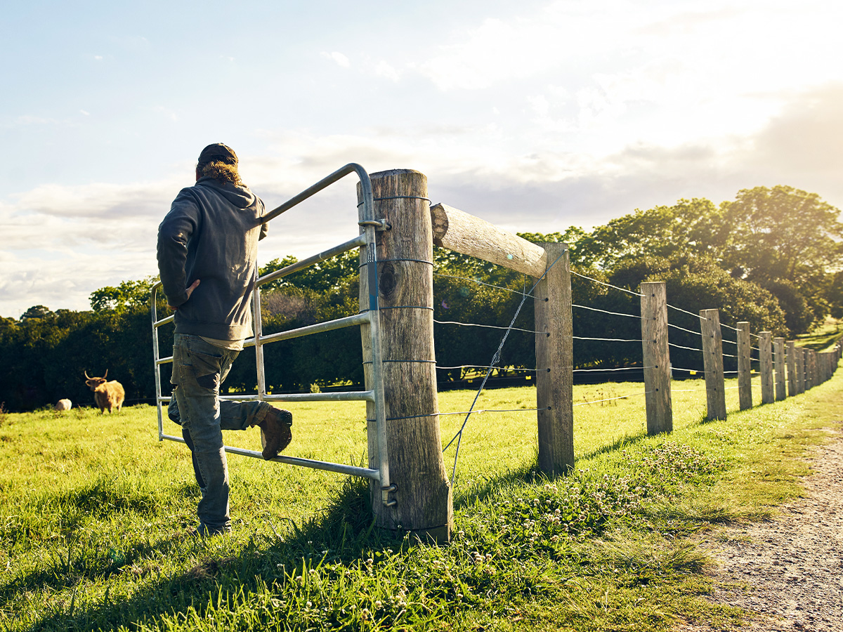 Beautiful Wood Fences, Mike's Fences