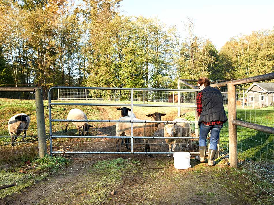 Fence Post Repair