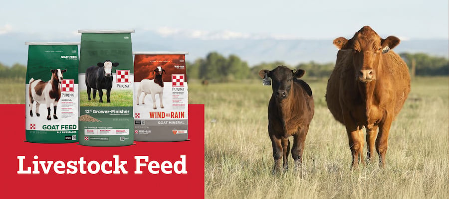 Livestock Feed