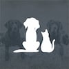 Pets