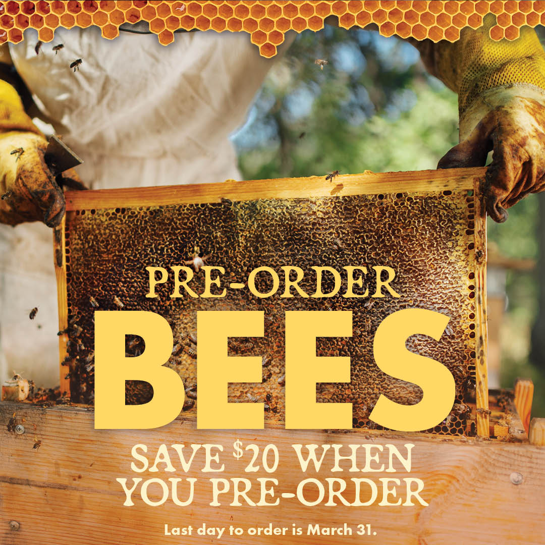 PRE-ORDER BEES SAVE $20 WHEN YOU PRE-ORDER Last day to order is March 31.