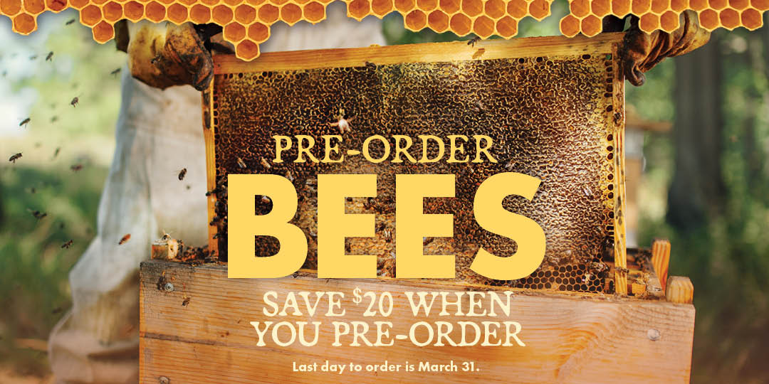 PRE-ORDER BEES SAVE $20 WHEN YOU PRE-ORDER Last day to order is March 31.