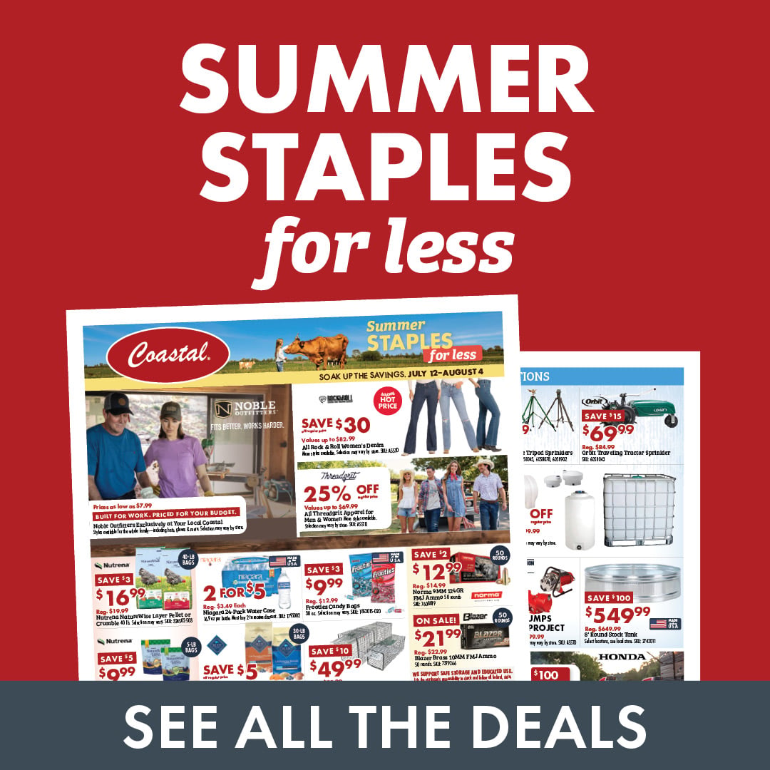 SUMMER STAPLES for less SEE ALL THE DEALS
