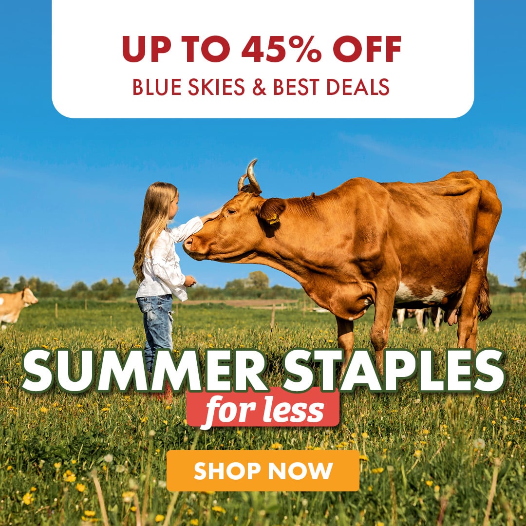 UP TO 45% OFF BLUE SKIES & BEST DEALS SUMMER STAPLES for less SHOP NOW