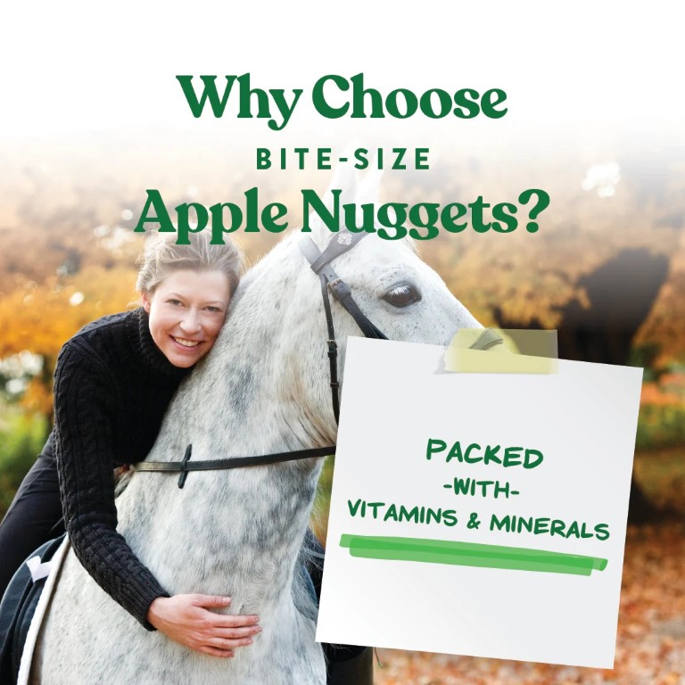 Manna Pro Bite-Size Apple Nuggets Horse Treats, 4-Lb