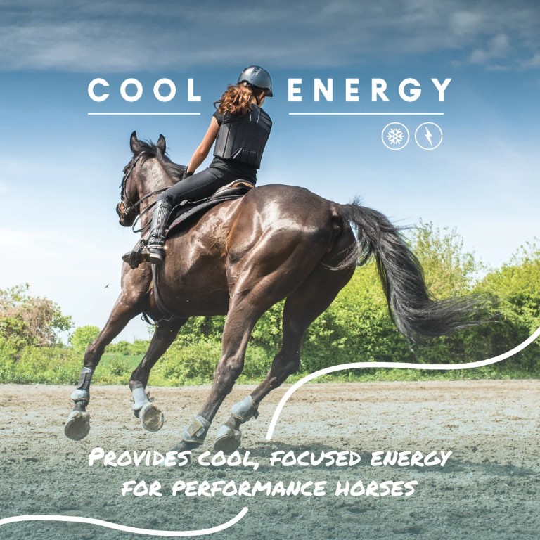 Manna Pro Cool Calories 100 Equine Dry Fat Supplement, 20-Lb