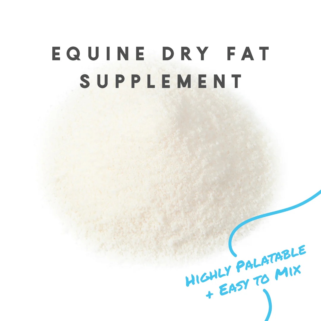 Manna Pro Cool Calories 100 Equine Dry Fat Supplement, 20-Lb