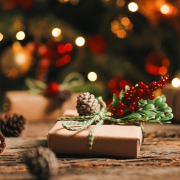 Holiday Gift Guide