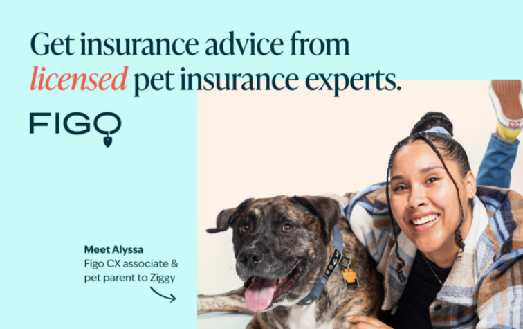 Get Insurance Advice from Licensed Pet Experts at FIGO Meet Alyssa Figo CX Associate & pet parent to Ziggy
